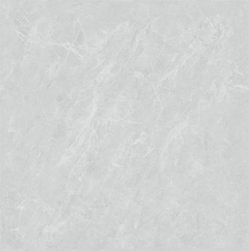 JQ8828