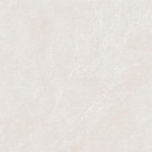 TR88216-2