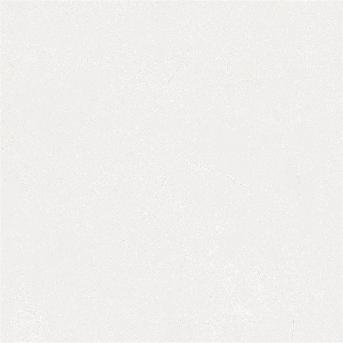 TR88211