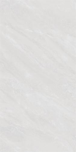 84A01-2