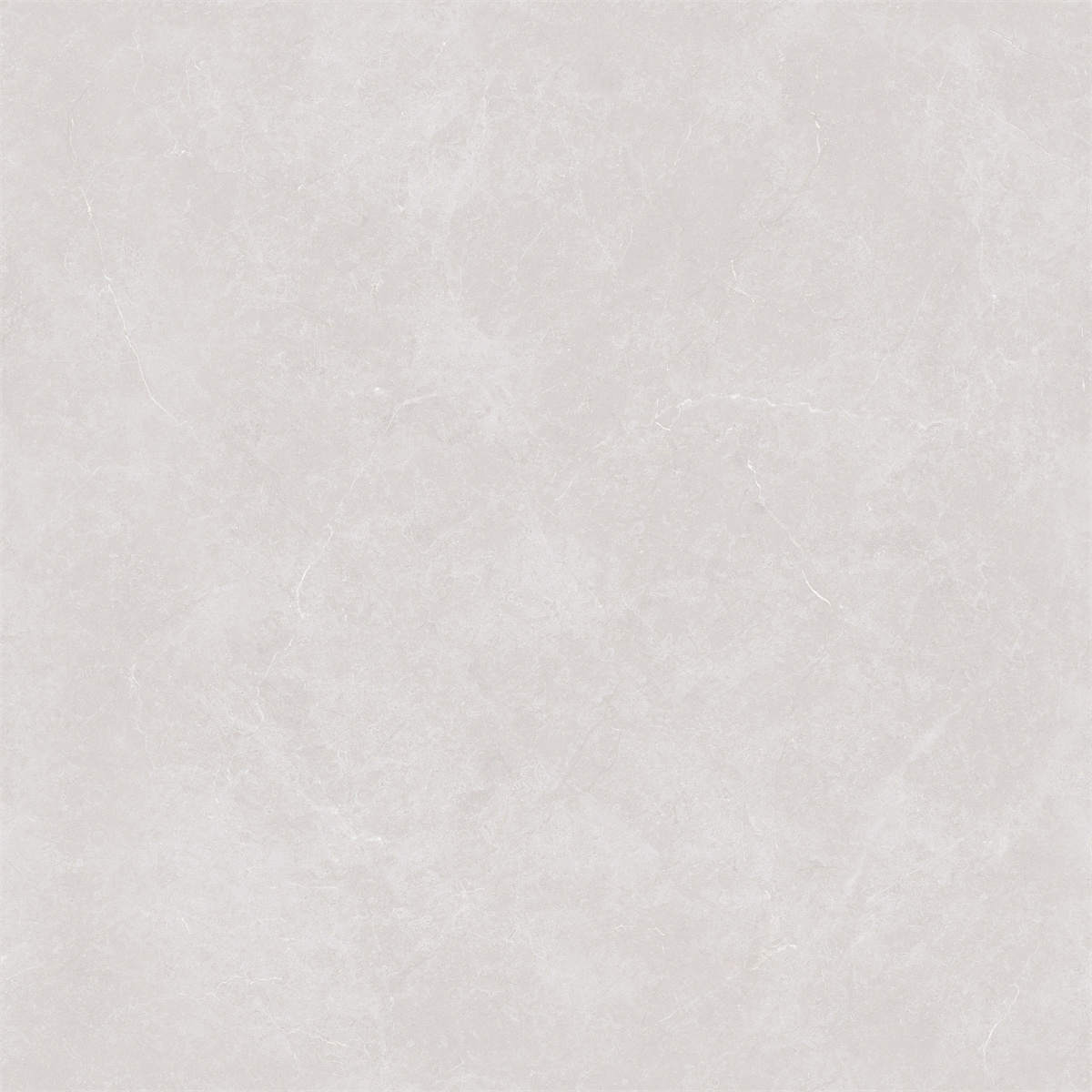 JQ8836